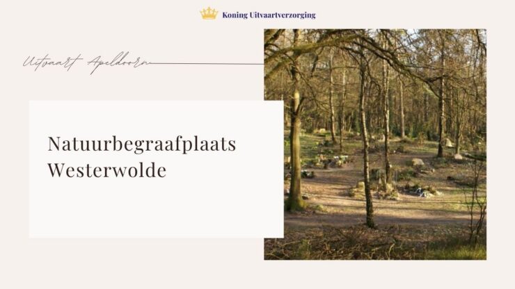 Natuurbegraafplaats Westerwolde
